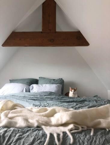 Beautiful Cosy Apartments In The Heart Of Antwerpen Buitenkant foto